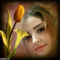 سلمى.من صنعاء (@qq5qq1471) 's Twitter Profile