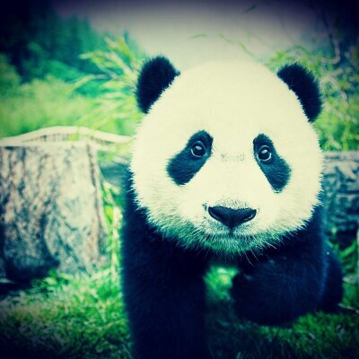 GuiitarCahua's profile picture. La vida solo se vive una ves Disfrútala... Wuuooo :D