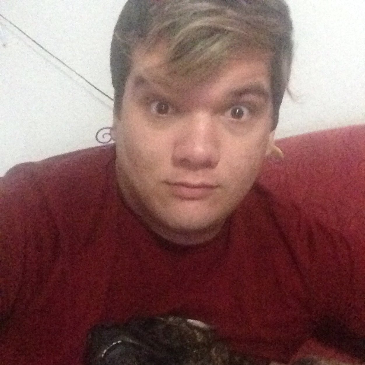 brynbrz's profile picture. This is such an original Bio, lol. If you wanna know then ask me.