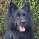 sue bray - @suebray100 - Twitter