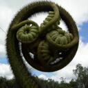 Erika Perkins - @moontweetz - Twitter