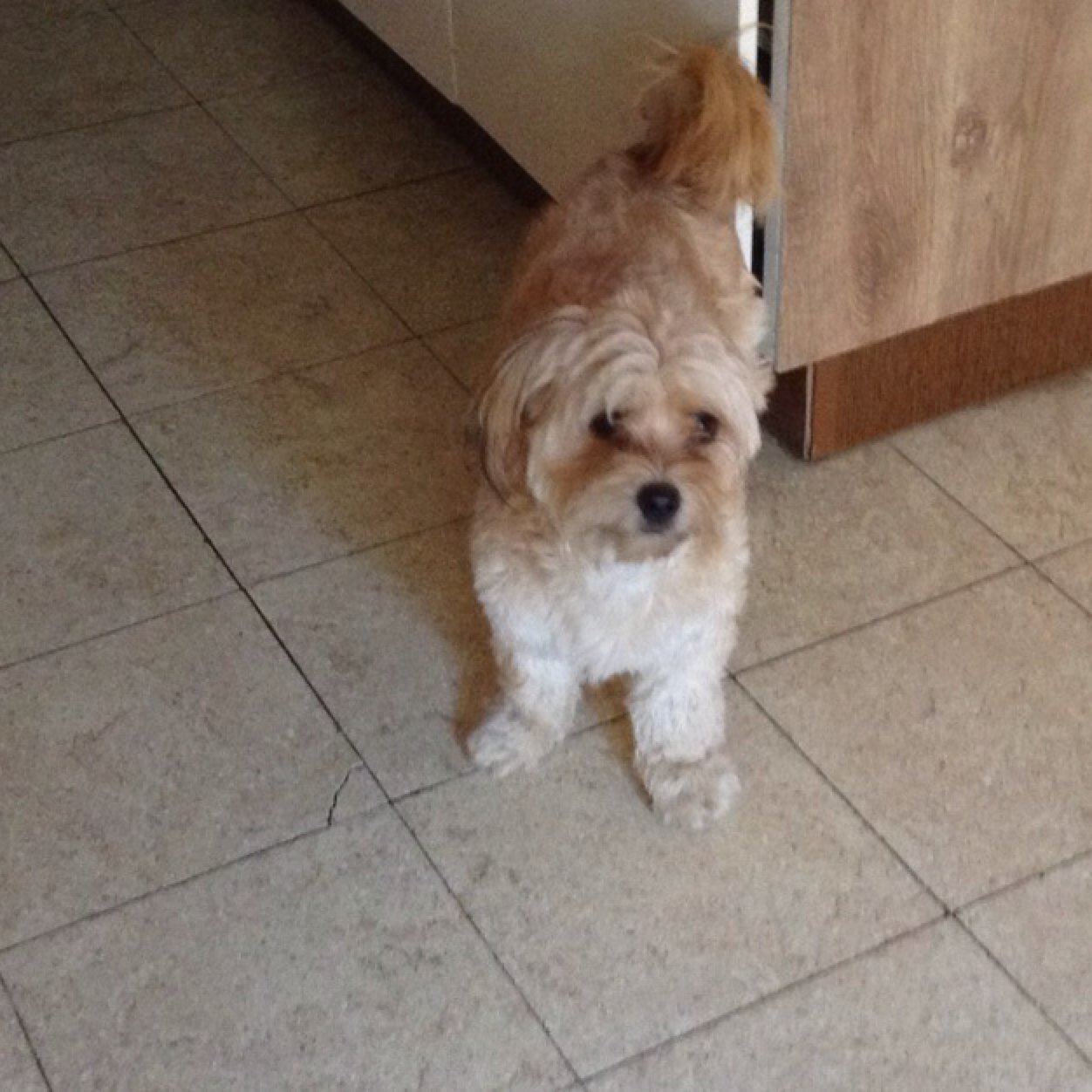 HalleuxLolo's profile picture. 