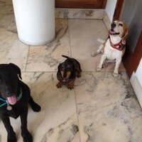 R Maya Barack-Evans (@rmayabevans) 's Twitter Profile