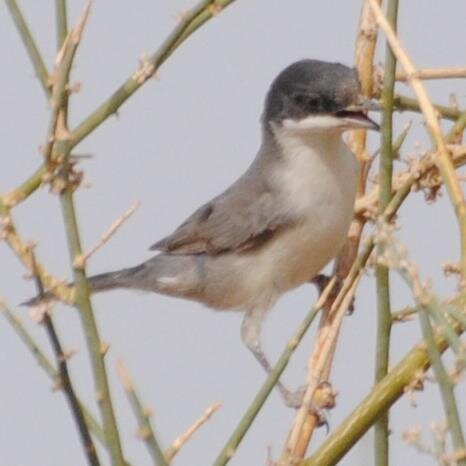 egipsy's profile picture. citizen of the world, an environmentalist