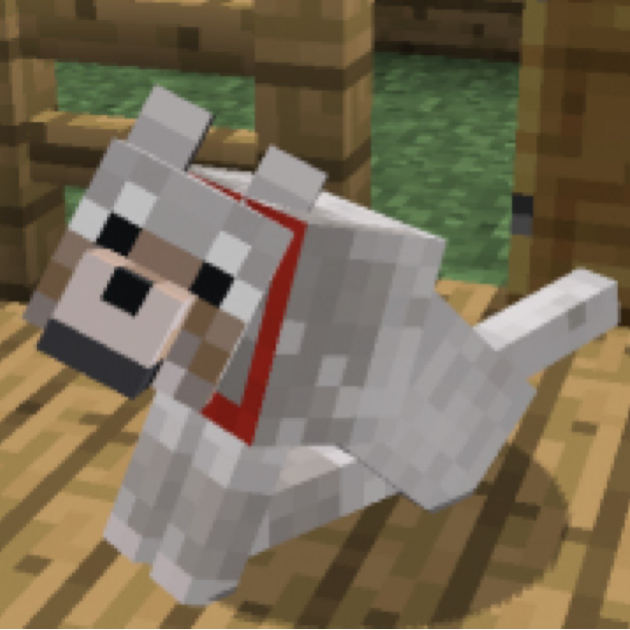 Thanks for flowing me!Mcpe 0.9.0 News and if you want a cool seed ask me! :) Concepts of mcpe  and updates!! :D HAVE FUN AND STAY COOL byeee! :D
