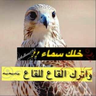 Ksa36hotmailco's profile picture. ‏‏‏وإنتهت حكآيتناِ
