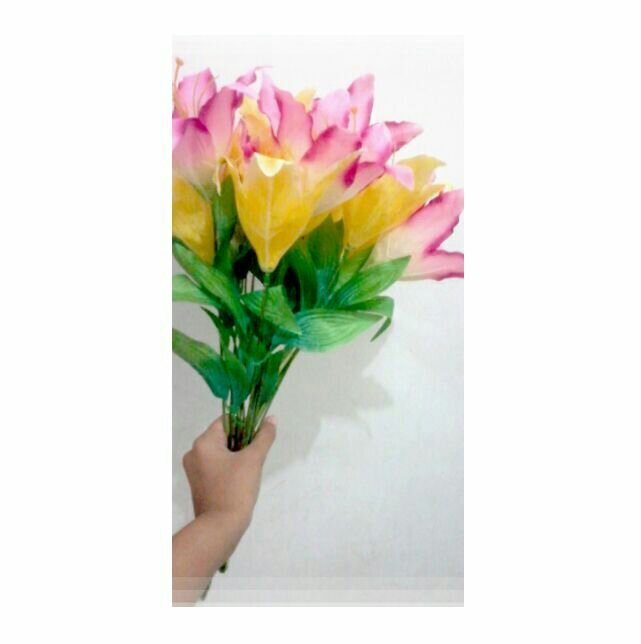 Hanya wa: 087755672164 dan line: cindiningtyas