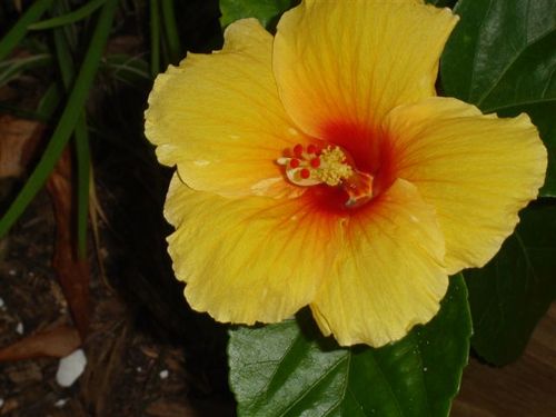 spiritarrow's profile picture. Politics, Media, Humor,  I Love All Animals and the Beauty and Creativity of this World and Beyond. Babies and Toddlers are uninhibited and Hilarious.