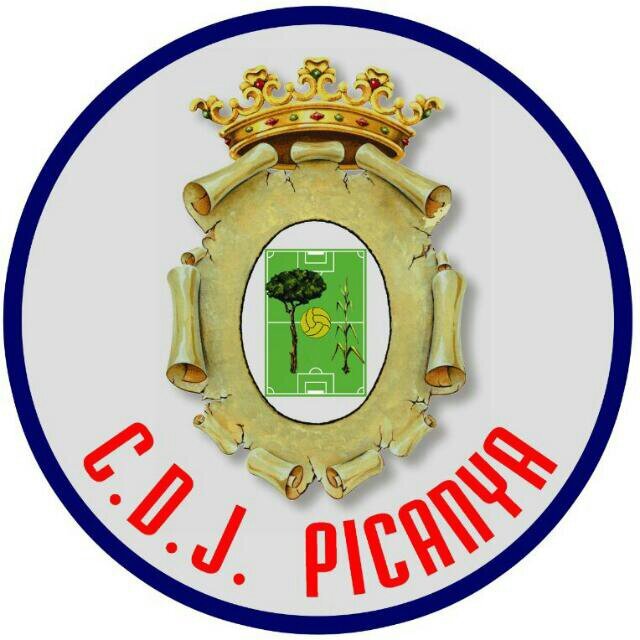 Twitter oficial del CDJ Picanya.                              CDJ Picanya, tus sueños, nuestra ilusión... #VamosPicanya