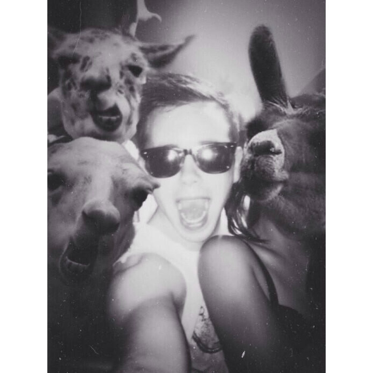 Deoupdates's profile picture. Here for our sunshine Deo and keeping you up to date with what he's up to. DEO FAVed!