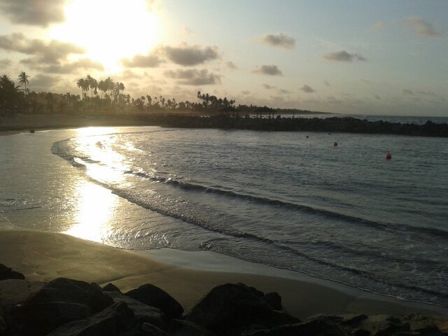 porotosArepa's profile picture. 