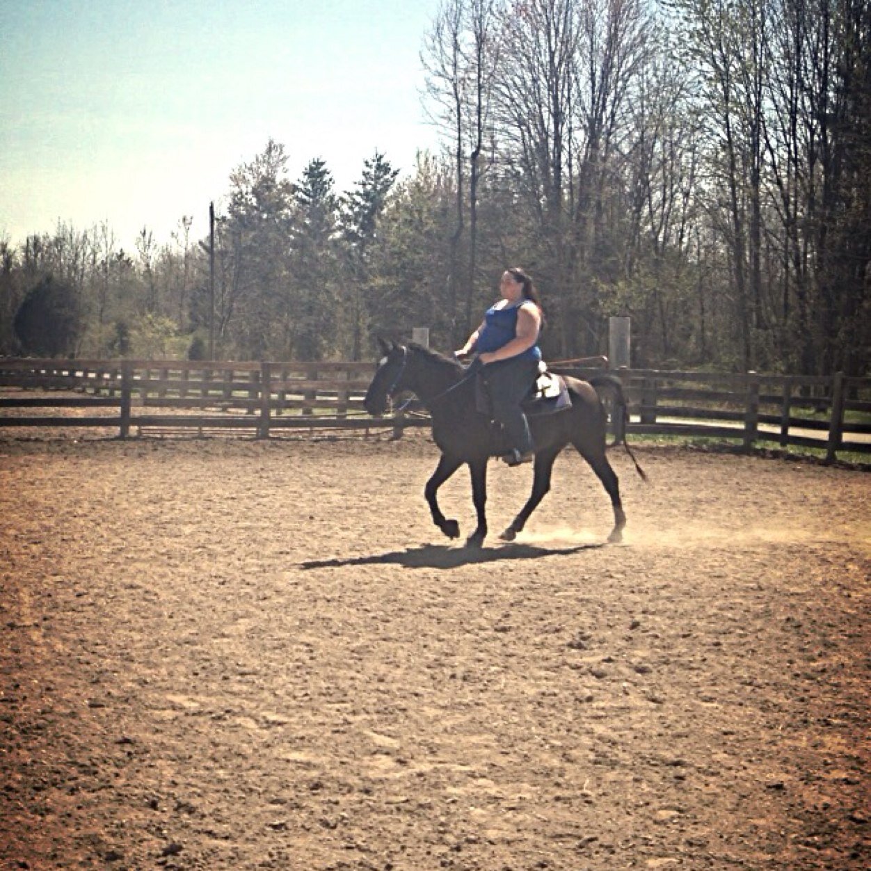 Just a western rider from ohio trying to make it big time! Tenneessee walking horses for life!