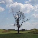 Liz Chambers - @EKTC27 - Twitter