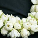 waled (@13aswd) Twitter