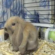 jeanphilippe200's profile picture. 