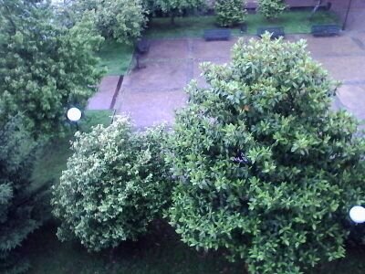 viendo llover