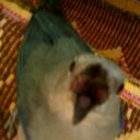 Luisa Torrez - @luisatorrez92 - Twitter