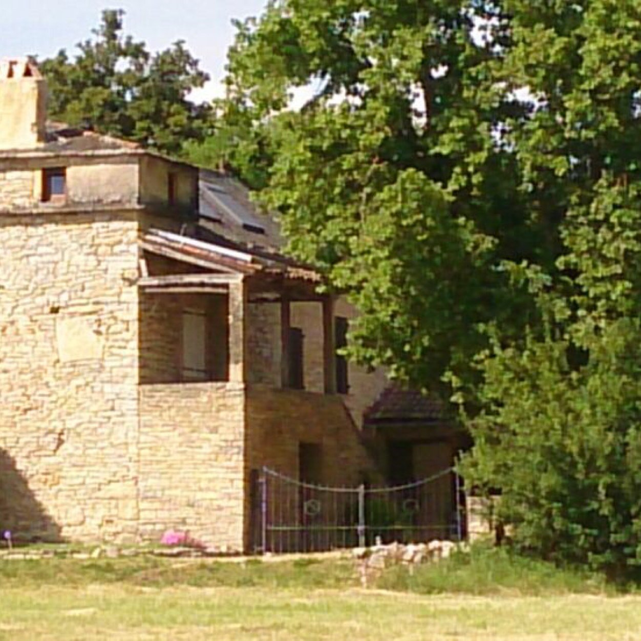 masdepanis's profile picture. 