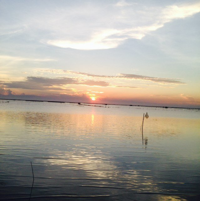 2010_pu's profile picture. 