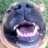 Buznrx's profile image