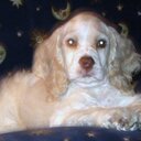 Dan Shattuck - @Dannyshat68 - Twitter