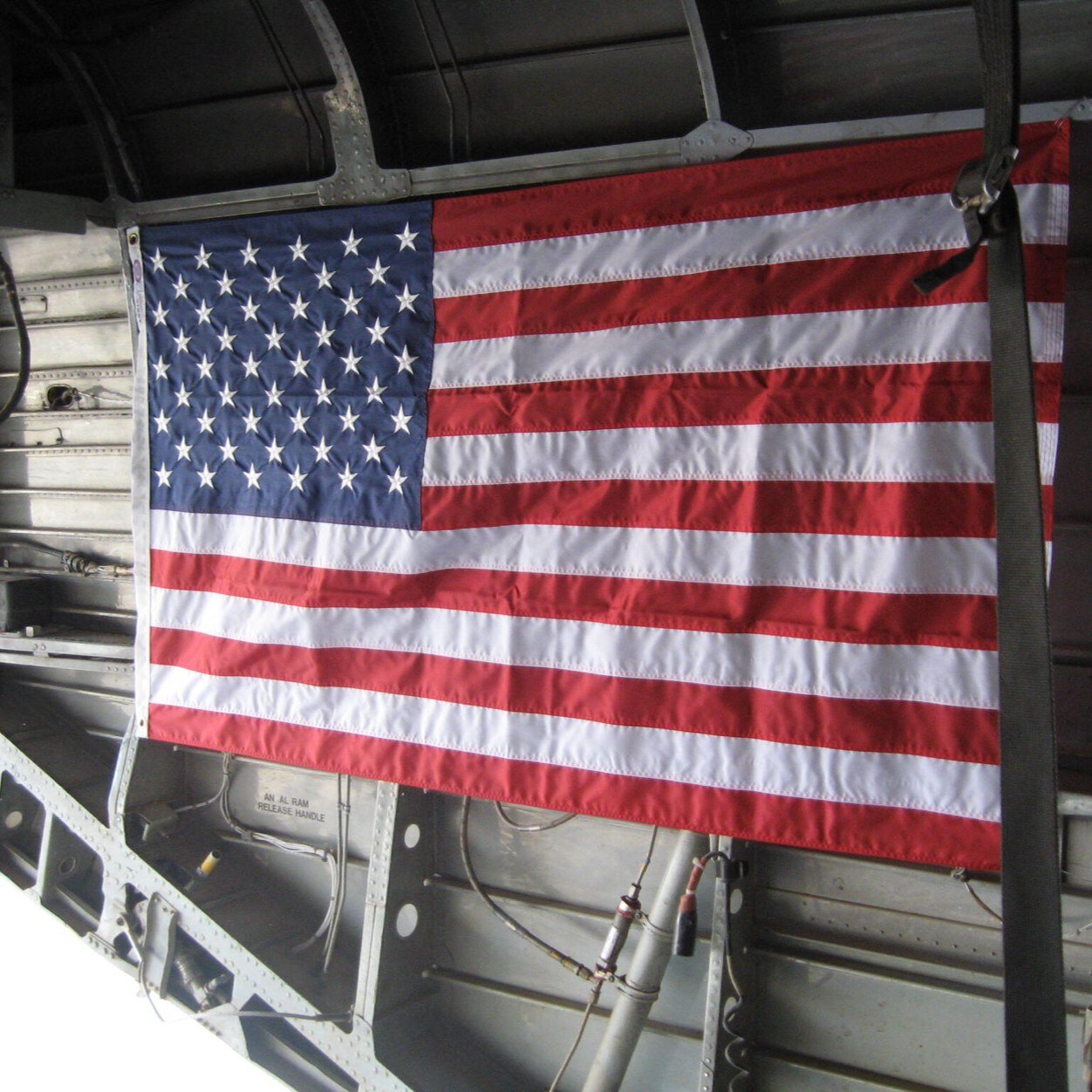 thestammfam's profile picture. 