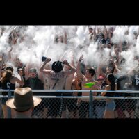 THE CROP (@the__crop) 's Twitter Profile
