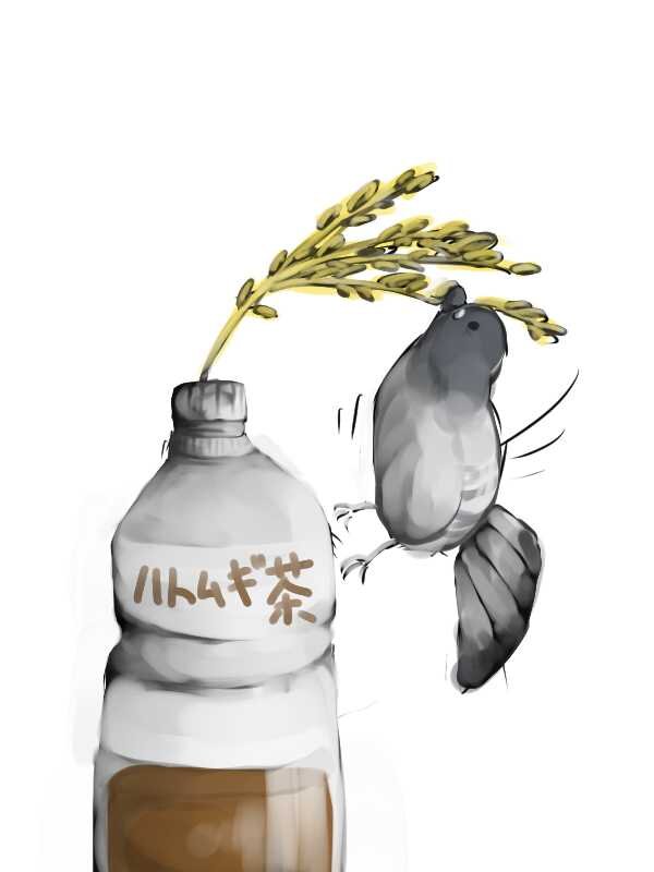 はとむぎさんのプロフィール画像