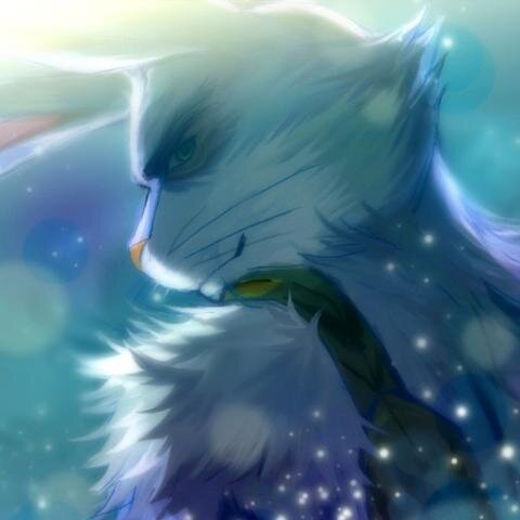 NO SOY UN CANGURO, SOY UN PUTO CONEJO CON HUEVOS BOMBA. Y NO ME TOQUES LOS HUEVOS DE PASCUA, FROST.