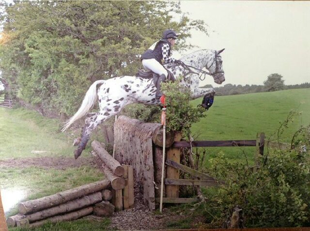 Amateur Event Rider. Owner of 2 amazing horses & a little Cocker Spaniel :) ♥