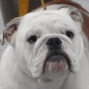 abelardo serna - @AbeSerna - Twitter