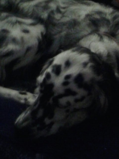 Liamborza's profile picture. 