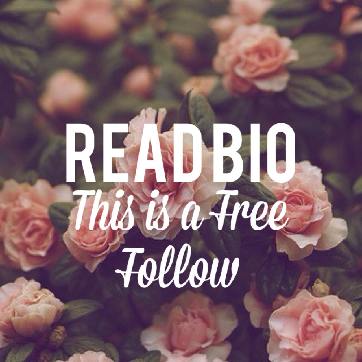 this is a free follow! DO NOT follow this account! follow this account plz ok ily @missjacksonnn