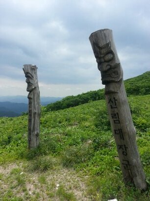 oneh2o66's profile picture. 