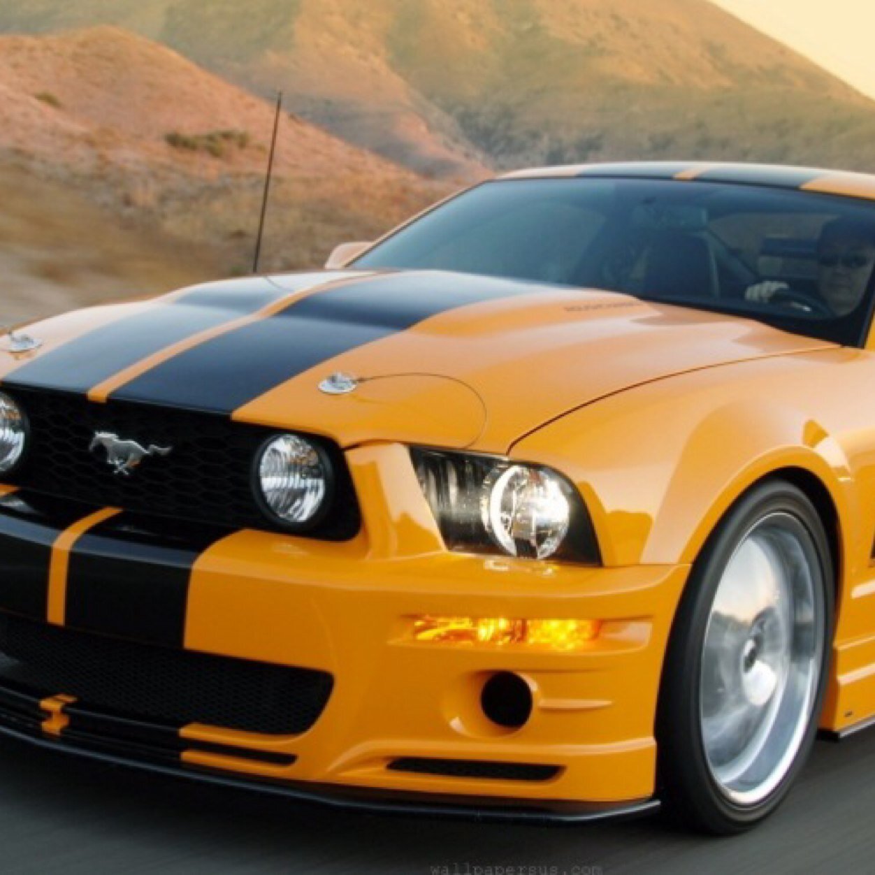 Luxury_Pure's profile picture. Money is the motive..