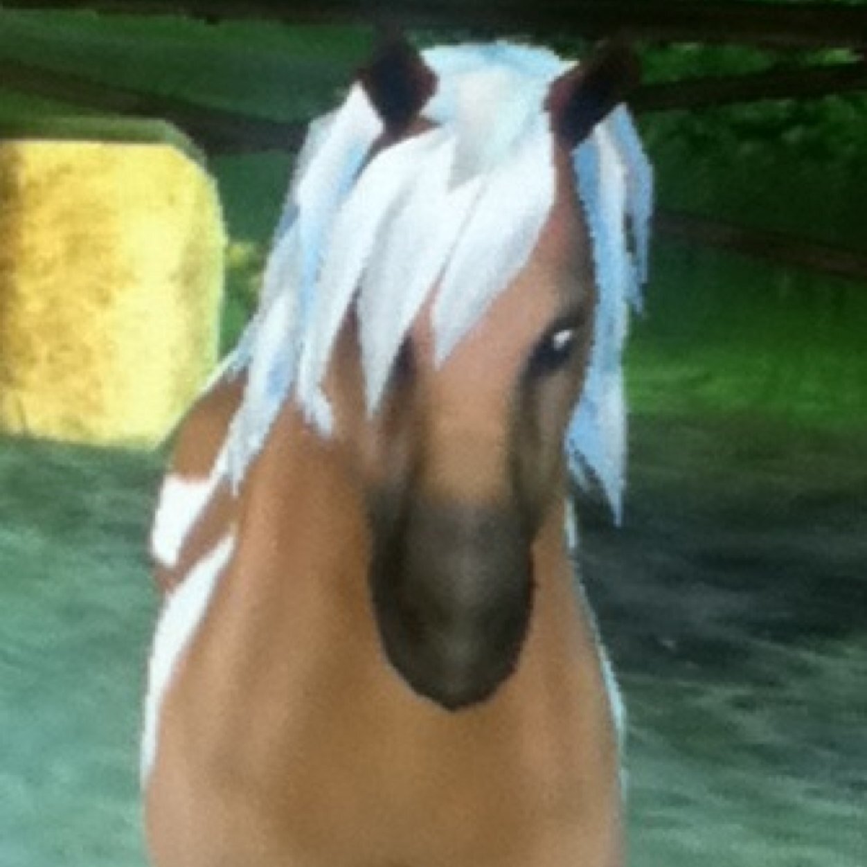 Southern Racers is a StarStable club on the old NA Server. We are loving to each of our memebers, even if we dont have much. Our club is drama and juding free!
