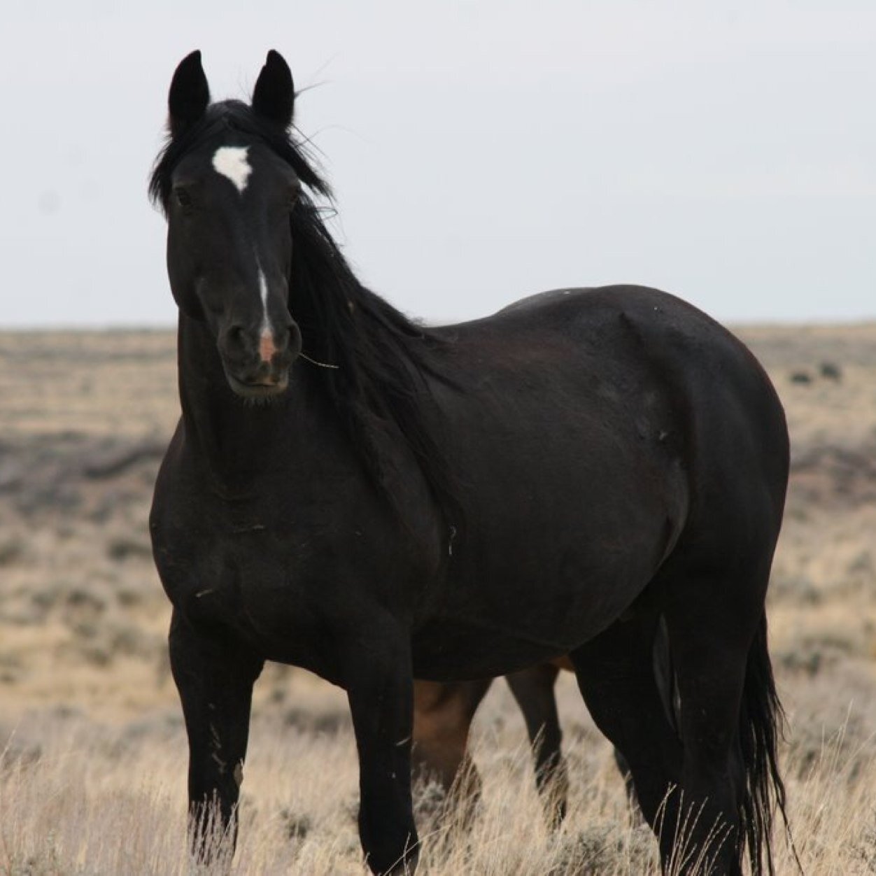 MTMSDBOutreach's profile picture. Montana School for the Deaf and Blind Outreach Program