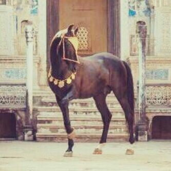 على سبيل الالم والاشتياق قطعه من قلبي في احد القبور والدي مثوآكك الجنه.