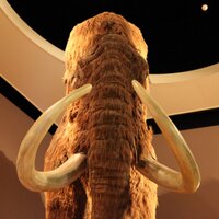 Mam Mut (@beobachter5081) 's Twitter Profile Photo