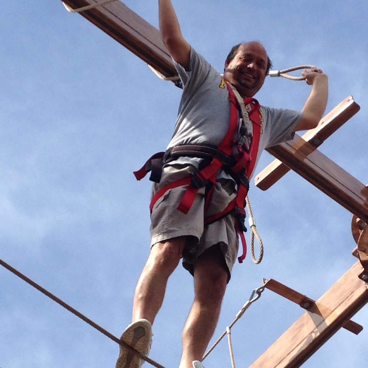 josegonoles's profile picture. 