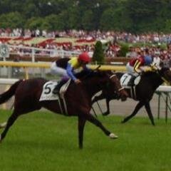 生観戦してきたスポーツでは、 ・2000年巨人リーグ優勝＠東京ドーム ・2005年Ｇ大阪リーグ優勝＠等々力競技場 ・2005年ディープインパクト ダービー優勝 ＠東京競馬場（プロフ写真・やぴお撮影） が良い思い出。