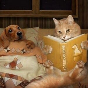 I'm going to keep reading books until someone allows me to make a career out of it.
