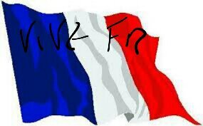 MSouciou's profile picture. 