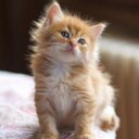 Marc Foxx - @foxx_marc - Twitter