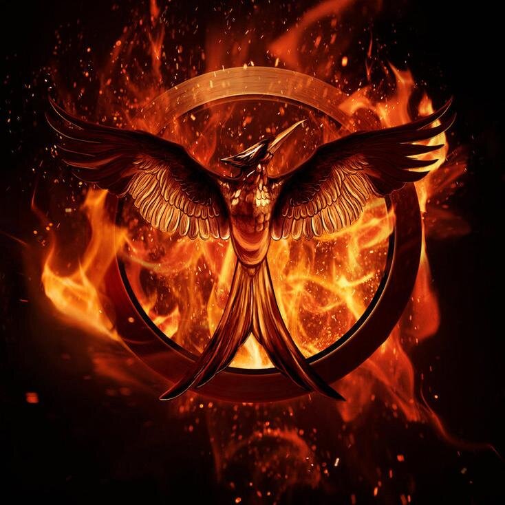 For Hunger Games Mockingjay Fans