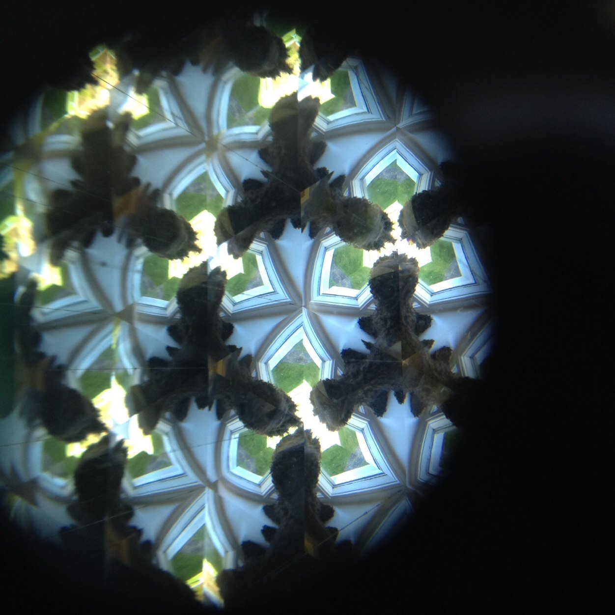 Penelope Butler (Pennylope1984) Twitter