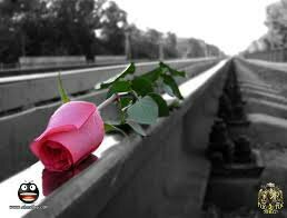 kokokokoko1441's profile picture. 