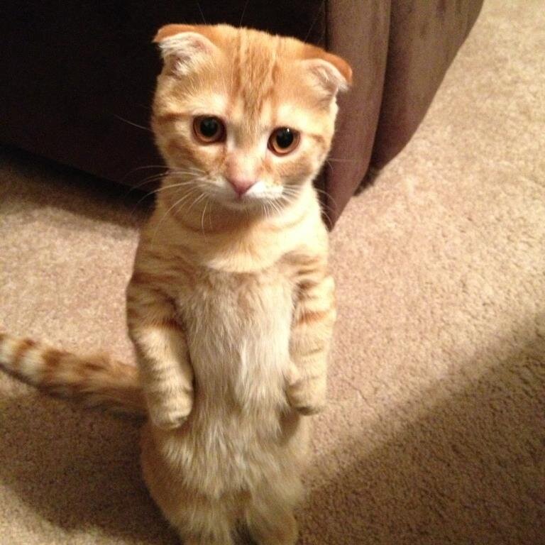 youngtree78's profile picture. 