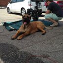 Evan Wright - @straightewhite - Twitter