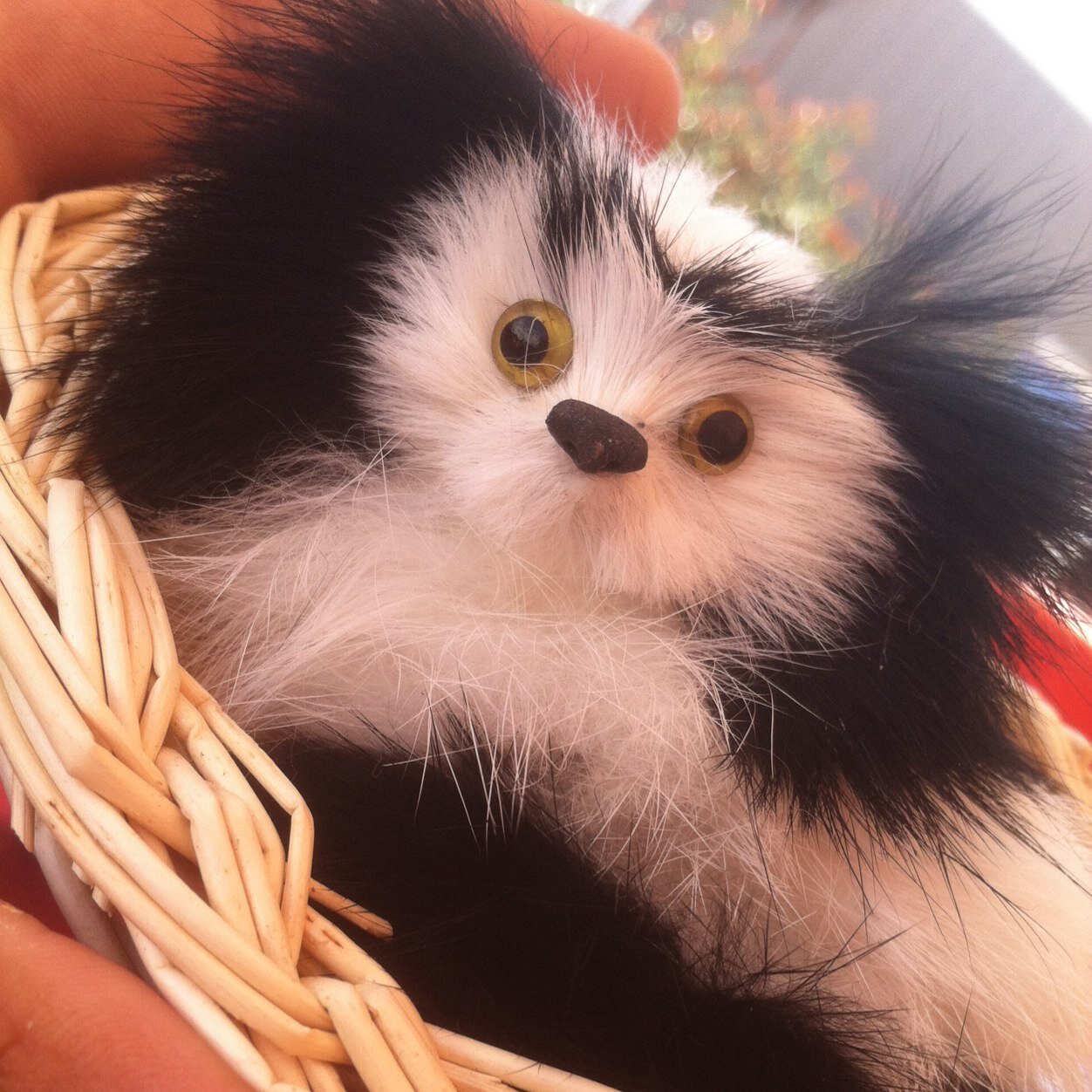 puppyinabasket's profile picture. Just your average puppy, in a basket